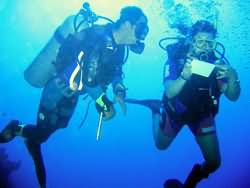 Divers taking notes underwater