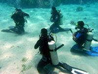 Underwater classroom