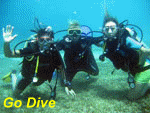 Start diving