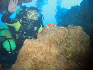 Diver in Kiwi Arch