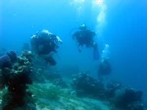 Divers over reef