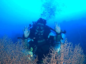Diver and fan corals