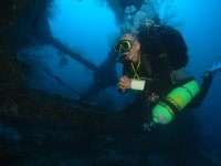 Diver on the Taiyong wreck