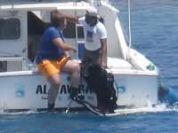 Aqaba Gulf diver saved