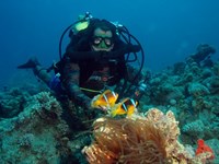 Diver on Pelagian rebreather