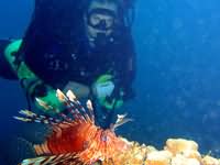 Rob with Lion fish