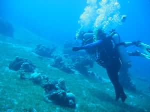 Scuba Diving for all