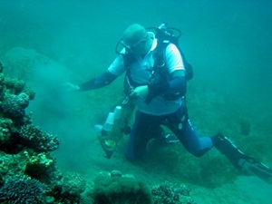 Cleaning the reef