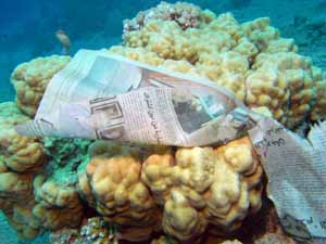 Newspaper over coral