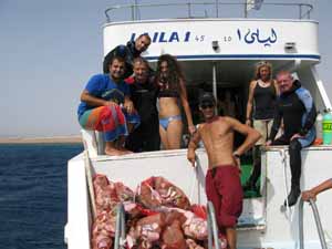 The Dive Aqaba Team