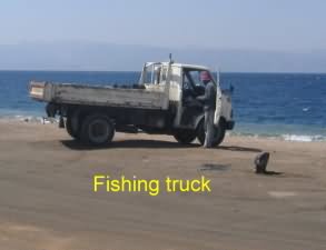The culprit returns to his truck- only to continue fishing from the shore