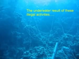Look what they are doing to the reef - international agencies are NOT impressed