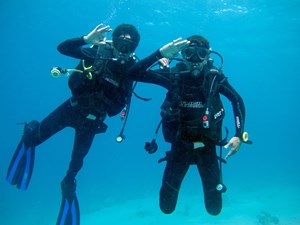 Divers saluting
