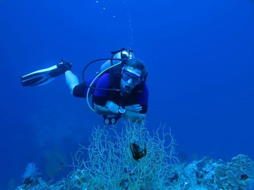 Best Diver shot of 2013