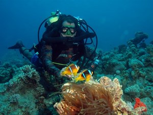 Alan diving with rebreather