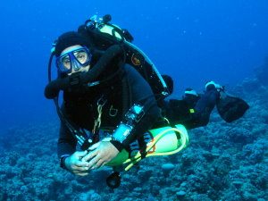 Pelagian Diver underwater