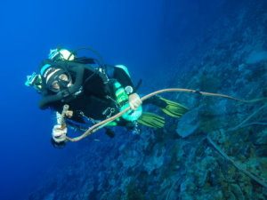 Rod diving on rebreather