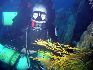 Rebreather diver in Aqaba