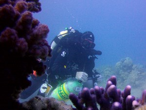 CCR Diver