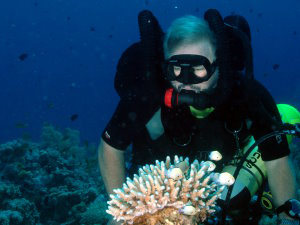 King Abdullah reef