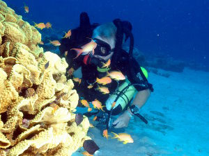 King Abdullah reef