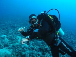 King Abdullah Reef