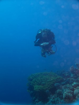 Tec diver over reef