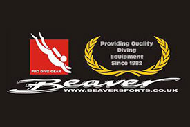 Beaver Dealership