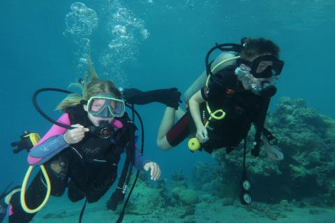 Daily Diving