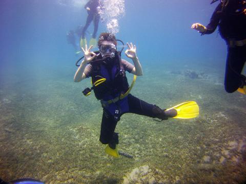 Daily Diving